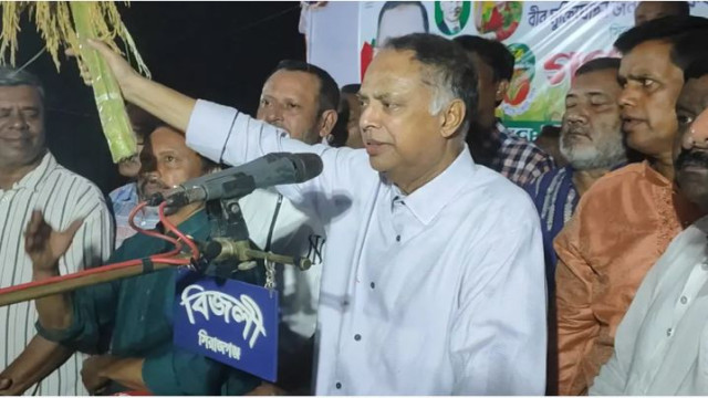 ইসলাম কায়েমের জন্য জামায়াতের প্রয়োজন নেই: টুকু