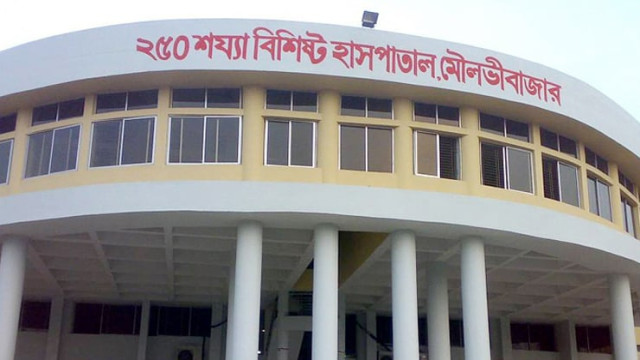 সেপটিক ট্যাংকে নেমে ৪ জনের মৃত্যু