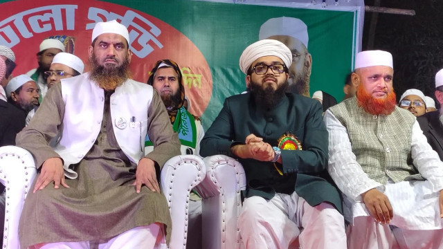 সীমান্তে শকুনদের আনাগোনা দেখতে পাচ্ছি: মামুনুল হক