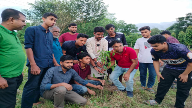 ইবিতে জুলাই বিপ্লবের বর্ষপূর্তিতে বৈছাআ’র দ্বিতীয় দিনের মতো বৃক্ষরোপণ কর্মসূচি