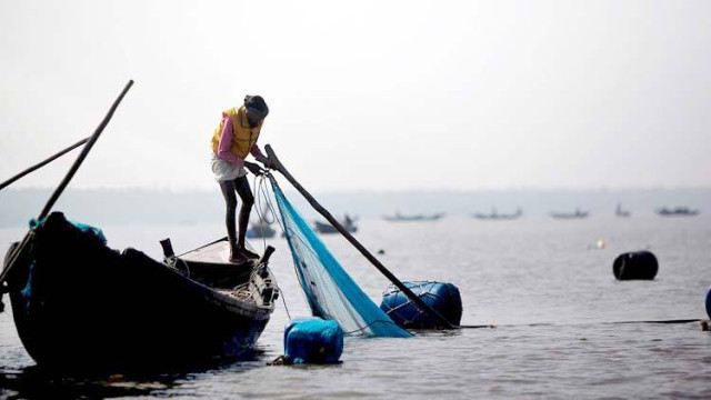 ফাইল ফটো