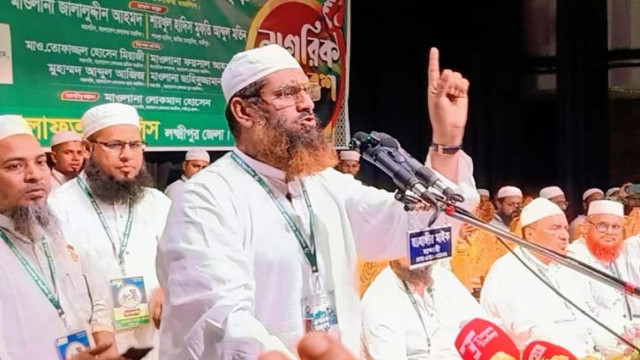বিএনপিকে ভূতে ধরেছে: মামুনুল হক
